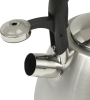 Natural gas stove kettle kettle body thickness 0.35mm spray color sound kettle